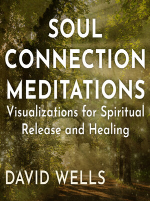 cover image of Soul Connection Meditations